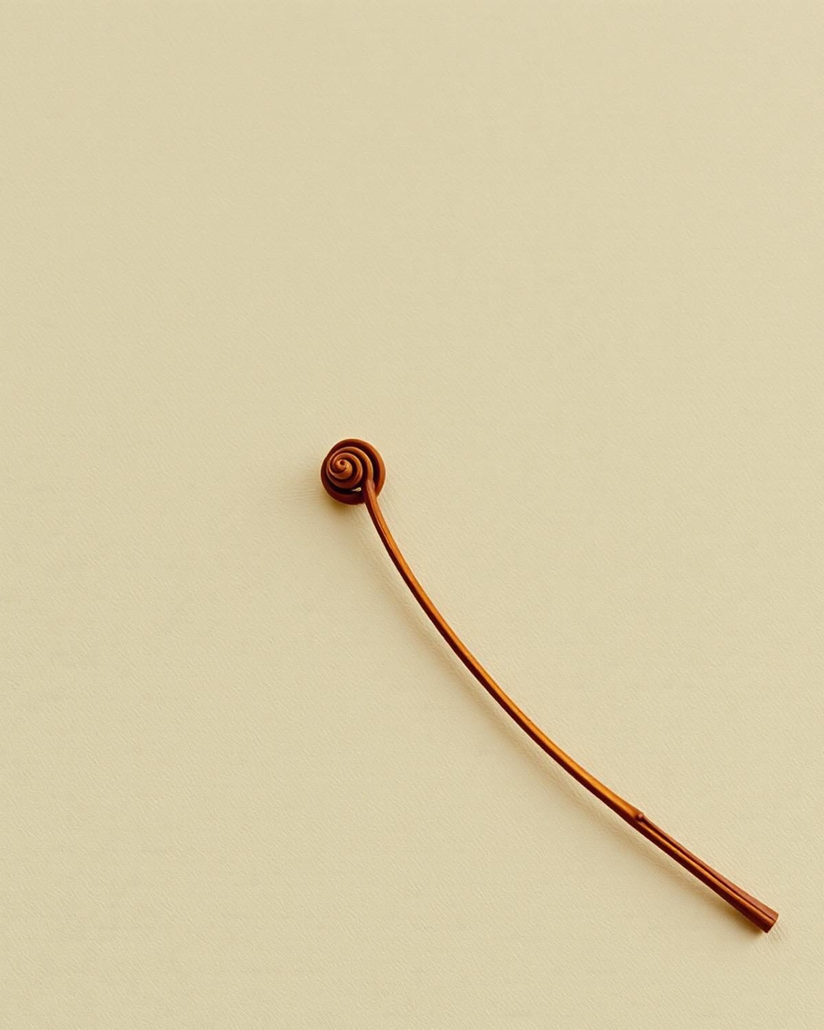A single curled fern frond on warm cream linen